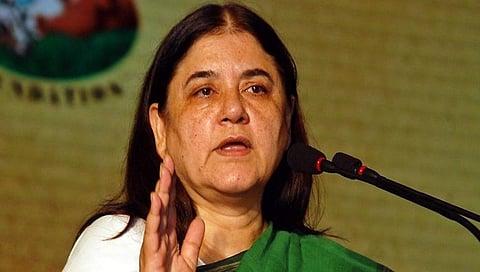 ಮೇನಕಾ ಗಾಂಧಿ