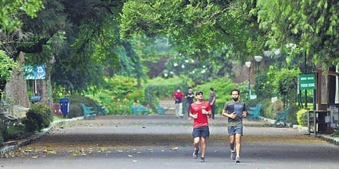 ಸಂಗ್ರಹ ಚಿತ್ರ