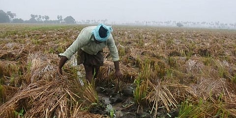 ಸಾಂದರ್ಭಿಕ ಚಿತ್ರ