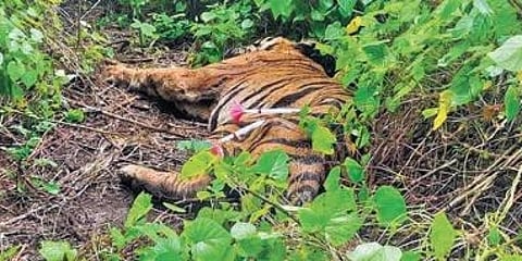 ಸಾಂದರ್ಭಿಕ ಚಿತ್ರ