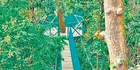 ಸಂಗ್ರಹ ಚಿತ್ರ