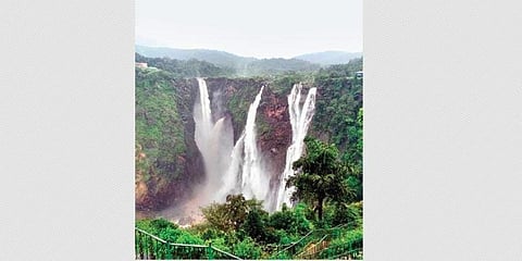 ಸಂಗ್ರಹ ಚಿತ್ರ