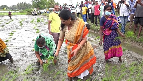 ಭತ್ತ ನಾಟಿ ಮಾಡಿದ ಶೋಭಾ