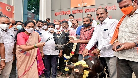 ಮೈಸೂರಿನ ಬಿಜೆಪಿ ಕಚೇರಿಯ ಮುಂಭಾಗದಲ್ಲಿ ಪಕ್ಷದ ಹಿರಿಯರು, ಸಂಸದರು ಹಾಗೂ ಶಾಸಕರೊಂದಿಗೆ ಗೋ ಪೂಜೆ ಸಲ್ಲಿಸಿದ ಕೇಂದ್ರ ಸಚಿವೆ ಶೋಭಾ ಕರಂದ್ಲಾಜೆ