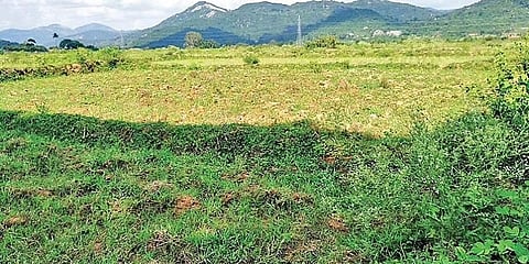 ಸಾಂದರ್ಭಿಕ ಚಿತ್ರ