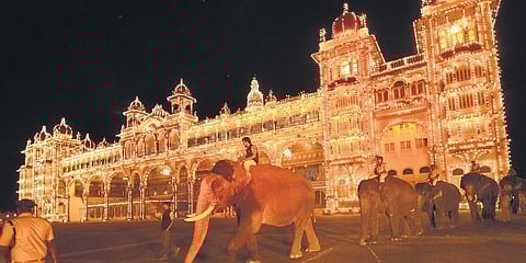 ಅರಮನೆ ಆವರಣದಲ್ಲಿ ನಡಿಗೆ ತಾಲೀಮು ನಡೆಸುತ್ತಿರುವ ಆನೆಗಳು.