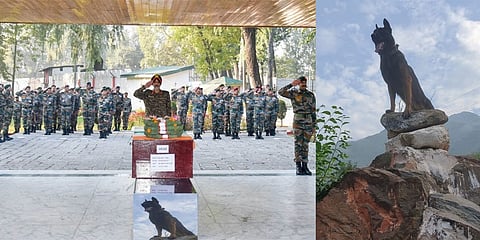 ಝೂಮ್ ಶ್ವಾನಕ್ಕೆ ಅಂತಿಮ ನಮನ