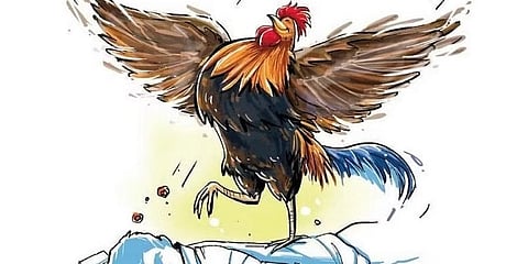 ಸಾಂಕೇತಿಕ ಚಿತ್ರ