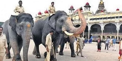ಸಾಂದರ್ಭಿಕ ಚಿತ್ರ