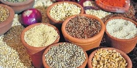 ಸಿರಿಧಾನ್ಯಗಳು