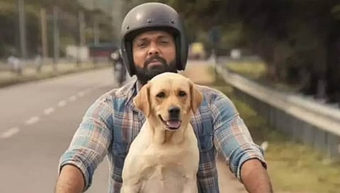 777 ಚಾರ್ಲಿ ಸಿನಿಮಾ ಸ್ಟಿಲ್