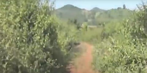 ಗ್ರಾಮಸ್ಥರು ನಿರ್ಮಿಸಿದ ರಸ್ತೆ