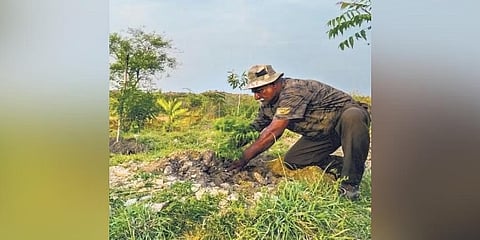 ಪಂಪಯ್ಯ ಮಳಿಮಠ