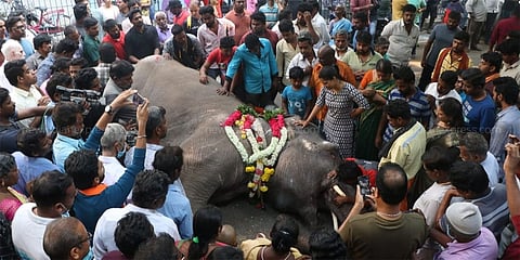 ಪುದುಚೇರಿಯ ಇತಿಹಾಸ ಪ್ರಸಿದ್ಧ ದೇಗುಲದ ಆನೆಯೊಂದು ಹೃದಯಾಘಾತದಿಂದ ಮೃತಪಟ್ಟಿದೆ.
