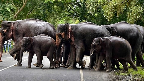 ಸಂಗ್ರಹ ಚಿತ್ರ