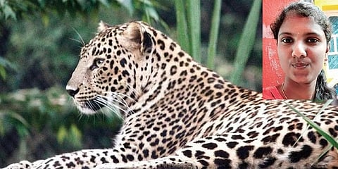 ಚಿರತೆ ದಾಳಿಗೆ ಬಲಿಯಾದ ಯುವತಿ