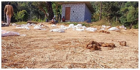ನಾಶಗೀಡಾದ ಭತ್ತದ ಗದ್ದೆ