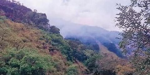 ಸೋಮನಕಾಡು ಪ್ರದೇಶದಲ್ಲಿ ಕಾಡ್ಗಿಚ್ಚು ಕಾಣಿಸಿಕೊಂಡಿರುವುದು.