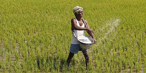 ಸಂಗ್ರಹ ಚಿತ್ರ