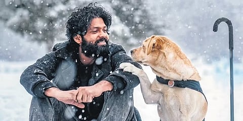 777 ಚಾರ್ಲಿ ಸಿನಿಮಾ ಸ್ಟಿಲ್