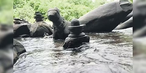 ಸಹಸ್ರ ಲಿಂಗ