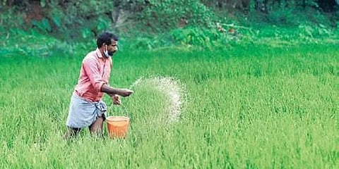 ಸಾಂದರ್ಭಿಕ ಚಿತ್ರ