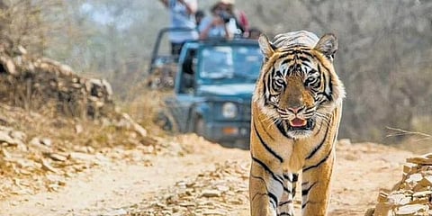 ಸಂಗ್ರಹ ಚಿತ್ರ