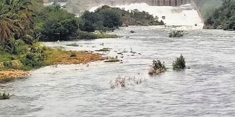 ಕೆಆರ್ ಎಸ್ ನಿಂದ ನೀರು ಬಿಡುಗಡೆ