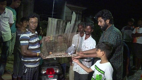 ಗಿಳಿ ಹುಡುಕಿಕೊಟ್ಟವರಿಗೆ 85 ಸಾವಿರ ಬಹುಮಾನ