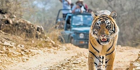 ಸಾಂದರ್ಭಿಕ ಚಿತ್ರ