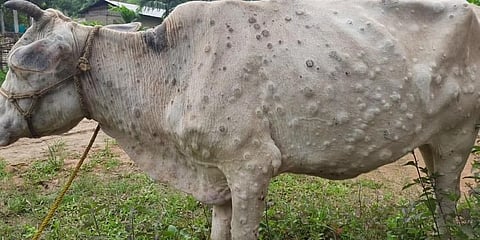 ಸಾಂದರ್ಭಿಕ ಚಿತ್ರ