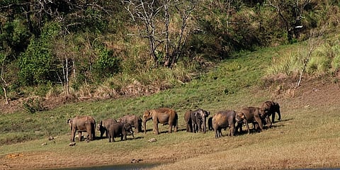 ಸಾಂದರ್ಭಿಕ ಚಿತ್ರ