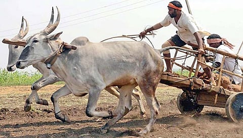 ಸಾಂದರ್ಭಿಕ ಚಿತ್ರ
