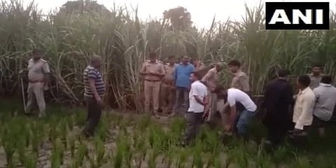 ಯುವಕನ ಶವ ಕಂಡುಬಂದ ಕಬ್ಬಿನ ಗದ್ದೆ (ಚಿತ್ರ-ಎಎನ್‌ಐ)