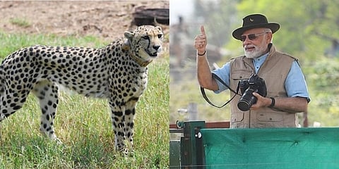 ಪ್ರಧಾನಿ ನರೇಂದ್ರ ಮೋದಿ