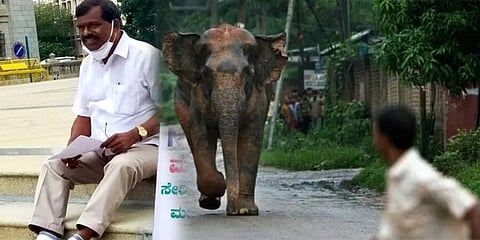ಶಾಸಕ ಎಂಪಿ ಕುಮಾರಸ್ವಾಮಿ