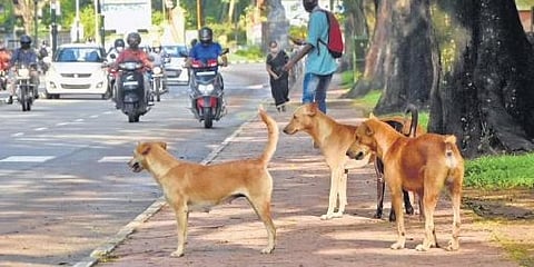 ಪ್ರಾತಿನಿಧಿಕ ಚಿತ್ರ