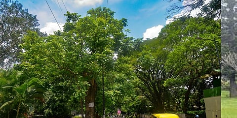 ಪ್ರಾತಿನಿಧಿಕ ಚಿತ್ರ