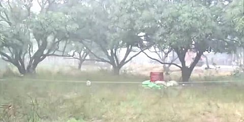 ಬಾಂಬ್ ಶೆಲ್ ಪತ್ತೆ