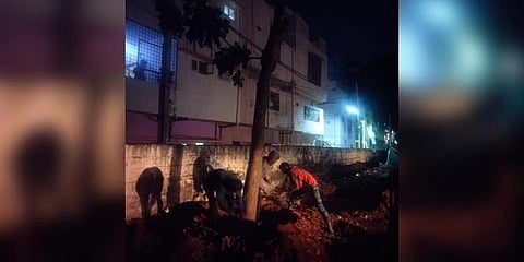 ಮರಗಳ ಸ್ಥಳಾಂತರ ಕಾರ್ಯದ ಚಿತ್ರ
