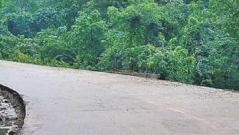 ಶಿರಾಡಿಘಾಟ್ ರಸ್ತೆ.
