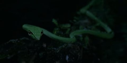 ಸಾಂದರ್ಭಿಕ ಚಿತ್ರ