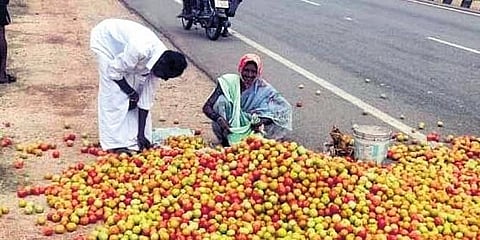 ಚಿತ್ರದುರ್ಗದ ಚಳ್ಳಕೆರೆಯ ಚಿಕ್ಕಮ್ಮನಹಳ್ಳಿ ಟೊಮೇಟೊ ಮಾರುಕಟ್ಟೆ ಮುಂಭಾಗ ಬುಧವಾರ ರಸ್ತೆಗೆ ಟೊಮೇಟೊ ಎಸೆದ ರಂಗಸ್ವಾಮಿ.
