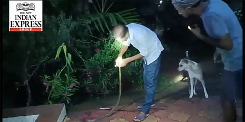 ಉರಗ ತಜ್ಞನಿಗೆ ಕಚ್ಚಿದ ಹಾವು