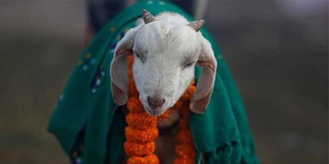 ಸಾಂದರ್ಭಿಕ ಚಿತ್ರ