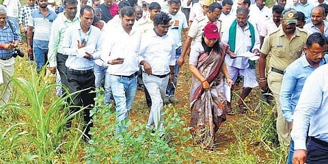 ಶನಿವಾರ ಗದಗ ಜಿಲ್ಲೆಯ ಬರ ಪರಿಸ್ಥಿತಿಯನ್ನು ಅವಲೋಕಿಸಲು ಅಂತರ ಸಚಿವಾಲಯದ ಕೇಂದ್ರ ಅಧ್ಯಯನ ತಂಡದ ಸದಸ್ಯರು ಗದಗ ಜಿಲ್ಲೆಯ ಕೃಷಿ ಭೂಮಿಯನ್ನು ಪರಿಶೀಲಿಸಿದರು