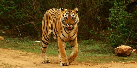 ಸಾಂದರ್ಭಿಕ ಚಿತ್ರ