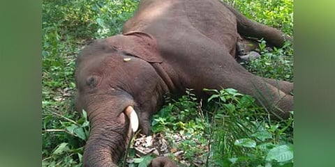 ಸಾಂದರ್ಭಿಕ ಚಿತ್ರ