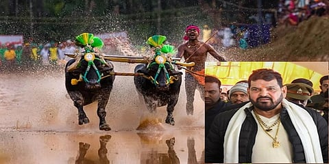 ಕಂಬಳ ಸಾಂದರ್ಭಿಕ ಚಿತ್ರ, ಒಳಚಿತ್ರದಲ್ಲಿ ಬ್ರಿಜ್ ಭೂಷಣ್ ಸಿಂಗ್