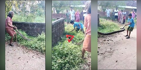ಬರಿಗೈಯಲ್ಲೇ ಹಾವನ್ನು ಹಿಡಿದ 12ರ ಬಾಲಕ